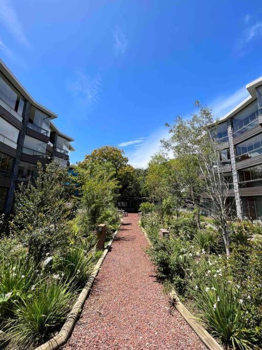 Precioso Con Jardin, Amplio Y En Apartamento Pucón